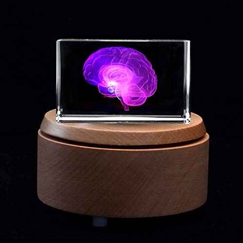 3D Human Brain Anatomical Model Paperweight(Laser Etched) in Crystal Glass Cube Science Gift (Included LED Base)