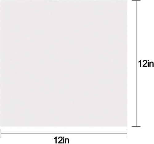 Regine Switzerland Packing Paper - 12x24 Inch | 155 Sheets for Protecting Fragile Items