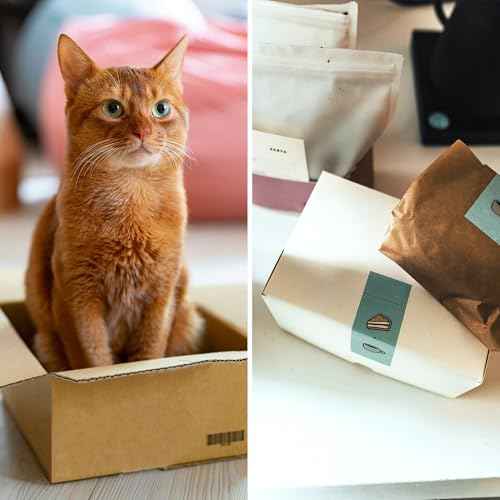 45 Pack 10x7x5" White Cardboard Shipping Boxes, Medium Mailing Boxes For Small Business for Packing, Moving and Storage