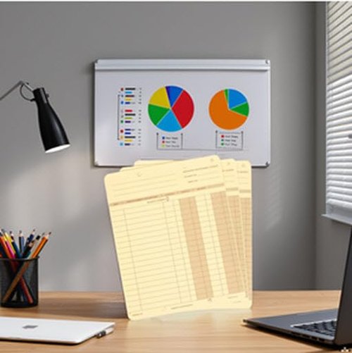 EGP One Write Ledger Card, 250 Ledgers