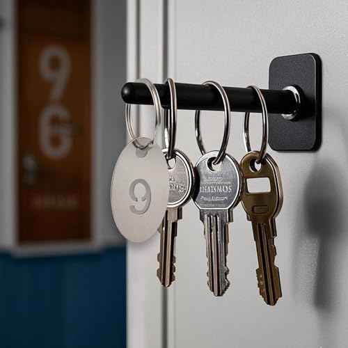 Oval Number Tags with Rings, 304 Stainless Steel Key ID Tag, Metal Numbers Keychain Tag Labels - 1 to 100