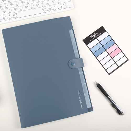 SKYDUE Expanding File Organizer with 8 Pockets, Accordion File Folders with Labels, Portable Document Paper Bill Receipt Organizer, Home College School Office Supplies, Letter Size, Blue