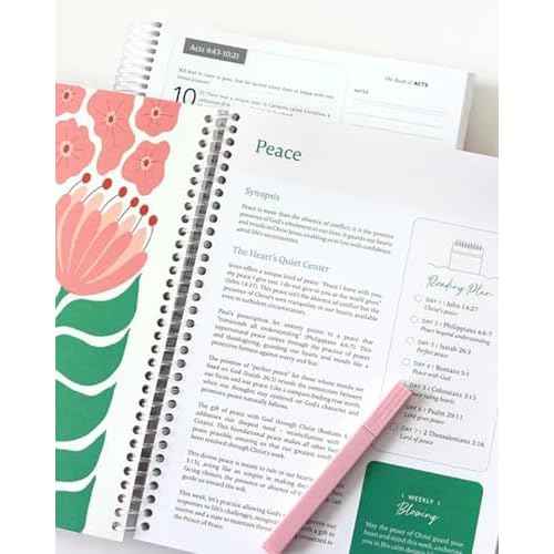 The Study the Bible for 1 year: A 52-Week Bible Study Guide for Women, A Beautiful Year in the Bible((Letter Size) 1pc)