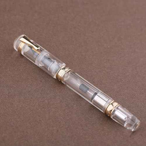 Majohn C5 Vacuum Fountain Pen Medium Nib, Large Capacity Transparent Acrylic Writing Gift Pen