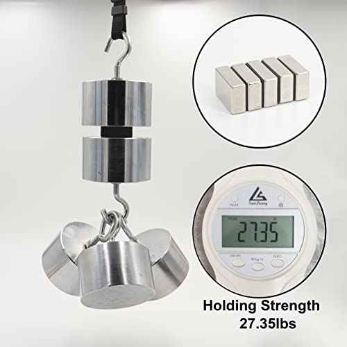 Realth Magnets Rare Earth Magnetic Rectangular Neodymium Magnet for Research Industrial Purposes Educational(MC728)