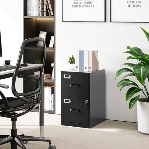 BYNSOE Black 2-Drawer Locking File Cabinet - Vertical Steel Office Storage, 25.39"H