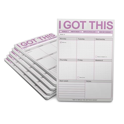 Knock Knock 6-Count I Got This Pads, To Do List Notepads, Daily Planner Pads & Funny Home Office Supplies, 6 x 9-inches