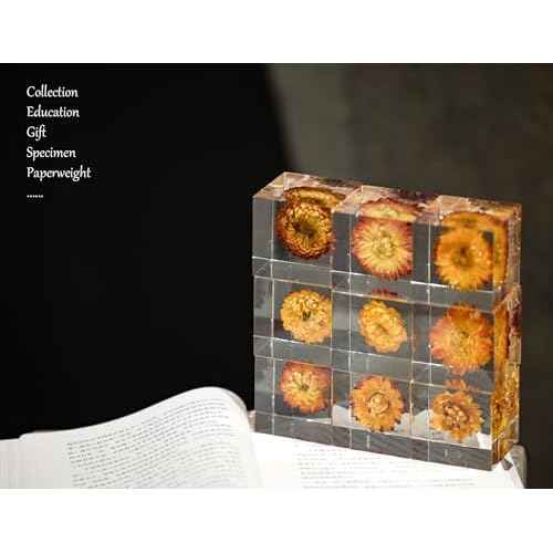 Luxury Natural Real Flowers/Seeds/Plants in Acrylic (not Epoxy Resin), 5CM / 2" Transparent Block Cubes, Anti-yellowing, Paperweight, Specimen, Gifts, Home Decor