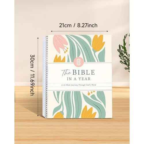 The Study the Bible for 1 year: A 52-Week Bible Study Guide for Women, A Beautiful Year in the Bible((Letter Size) 1pc)