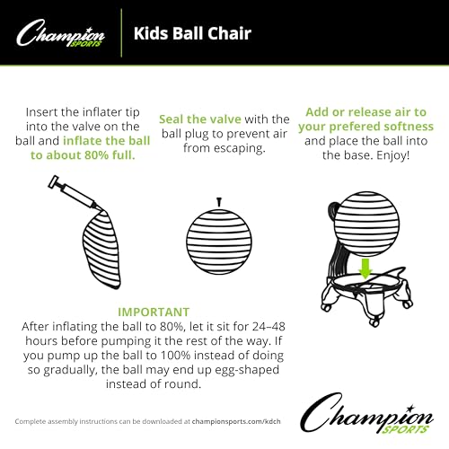 Champion Sports FitPro Balance Ball Chair with Wheels (Youth Chair, Gray & Blue)
