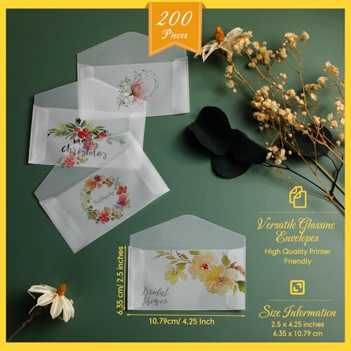 Eersida 200 Frosted Glassine Envelopes 2.5 x 4.25 Inch Mini Bags with V Flap - Clear, Printable, Pack of 200