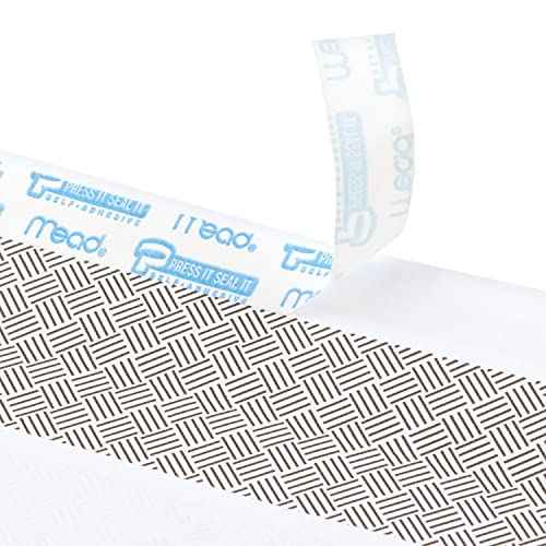 Mead #10 Security Business Envelopes Letter Size 4-1/8" x 9-1/2" ? Peel and Seal, Privacy Lined, No-Window, Press-It Seal-It Self-Adhesive for Home & Office Mailing, 200 Count (742020)