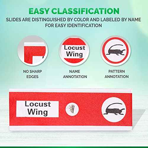 AMSCOPE-Kids 48pcs Kids Plastic Prepared Microscope Slides of Animals Insects Plants Flowers Sample Specimens for Stereo Microscopes
