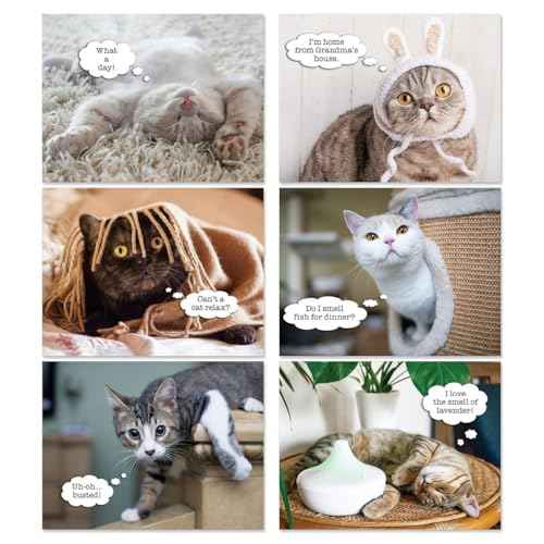 Current 2026 Cattitudes Cat Wall Calendar, 12-Inch x 9-Inch Size Closed, 18-Inch Size Open, Large Bookstore-Quality, Spiral-Bound Hanging Monthly Wall Calendars for Kitchen & Office