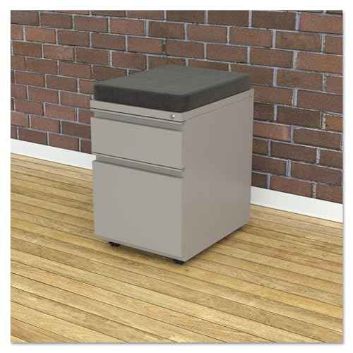 Alera ALE Seat Cushion for File Pedestals, 14 7/8 x 19 1/8 x 2 1/8, Smoke