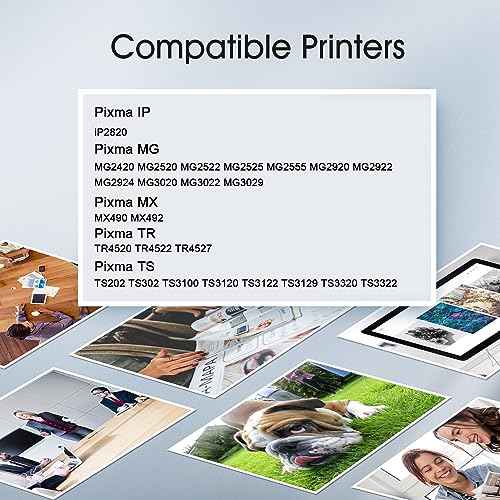PG-245XL CL-246XL Black/Tri-Color Combo Pack Replacement for Canon 245XL Ink Cartridges for PIXMA MG2420 MG2520 MG2522 MG2525 MG2920 MG2922 MG2924 MG3020 TR4520 TS202 TS302 MG3029 (1 Balck 1 Color)