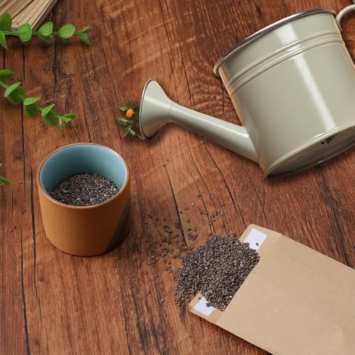 Tolare 200 Pcs Seed Envelopes for Seed Storage, Self-Adhesive, 4.7x3.15 Inches