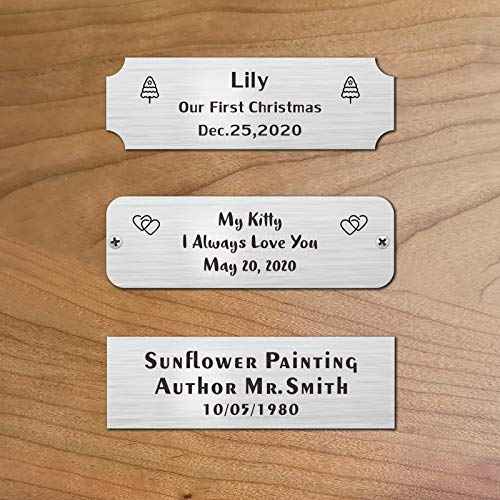 3" W x 1" H, Personalized, Custom Laser Engraved, Brushed Stainless Steel Plate Picture Frame Name Label Art Tag for Frames, with Adhesive Backing or Screws