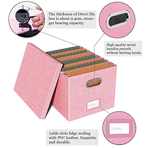 Oterri Pink File Organizer with Lid - Portable Letter File Box for Office & Home, 1 Pack