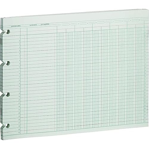 Wilson Jones G1010 Accounting Sheets, 10 Column, 9-1/4 x 11-7/8, Green (Pack of 100 Loose Sheets)