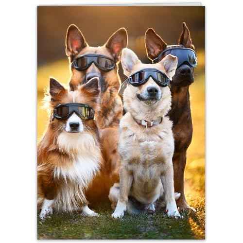 Funny Dog Birthday Card for Women, Men, Family, Friends - Hilarious card for a bright candle birthday celebration!