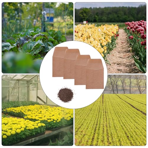 Tuhangcc 100 Pack Small Coin Envelopes 3.15 x 3.55 in Heavy Duty Kraft Self-Adhesive