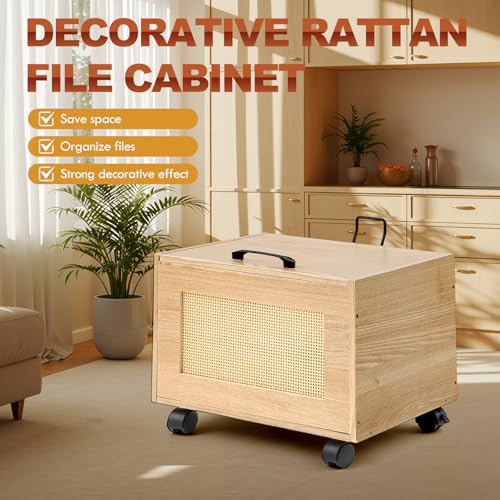 Rattan File Cabinet Hanging File Organizer Box with Lid Rolling Wicker Filing Cabinet for Home Office for Letter/Legal Size