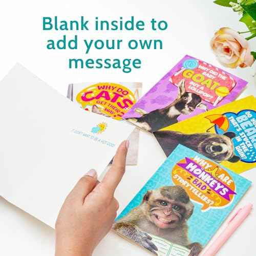 T MARIE 72 Funny Animal Notecard Set with Envelopes and Stickers - 4.5¡± x 6.25¡± Humorous Thinking of You Cards - Unique Designs with No Repeats Ideal for Kids, Teachers, Summer Camp, and More