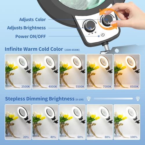 12X Magnifying Glass with Light Hands Free, 2025 New Upgrade Infinite Color and Brightness Magnifying Desk Lamp & Clamp, 2-in-1 LED Lighted Magnifier Stand for Craft Reading Hobby Close Work