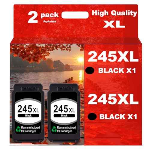 245XL Ink Cartridge Replacement for Canon 245XL Black Ink Compatible with Pixma MX490 MX492 MG2522 MG3022 MG2520 TS3100 TS3122 TS3300 TS3322 TR4522 Printer (2 Pack)