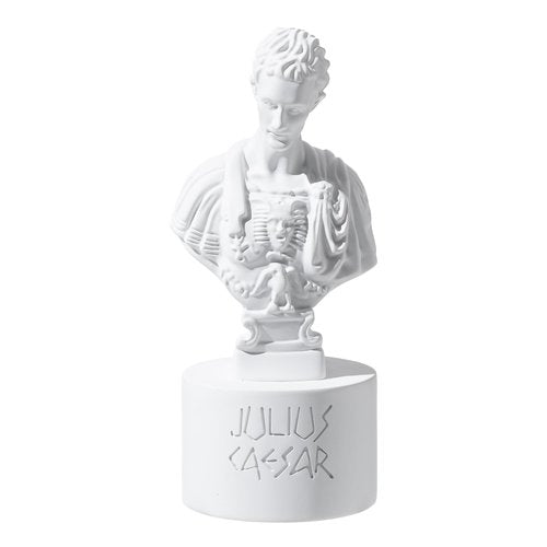Surlama Julius Caesar Pencil Holder, 7.87" Resin Bust Statue with Back Stabbed Holes, Roman Desk Organizer