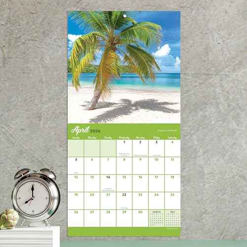 TF Publishing 2026 Tropical Beaches Mini Calendar with Monthly Grids for Appointments and Scheduling - Vertical Small Wall Calendar 2026 w/Premium Gloss Paper for Home and Office Organization - 7x7in