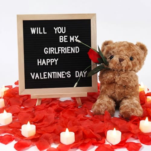 Ceenna Will You Be My Girlfriend Letter Board Sign Set with Bear & Red Variations
