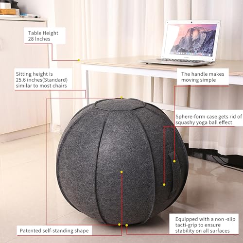 Sitting Ball Chair Cover for Office – AOLIAZMAX Black Gray 65cm