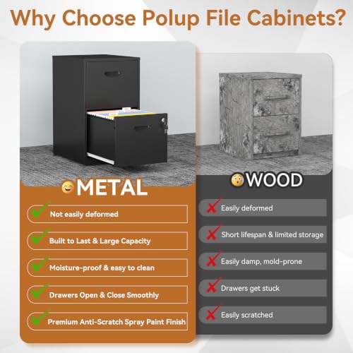 Polup Black 2-Drawer Lockable Metal File Cabinet for Home Office