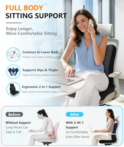 JIPORIER Black Lumbar Support Pillow & Memory Foam Seat Cushion for Office Chair