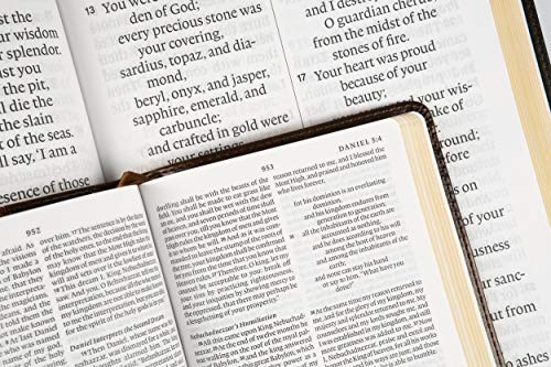 ESV Super Giant Print Bible Burgundy Imitation Leather Truetone