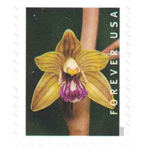 Wild Orchids Flowers (Booklet of 20) First-Class Mail Forever Postage Stamps 2020 Scott 5445-5454