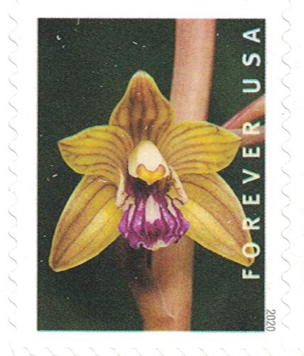 Wild Orchids Forever Postage Stamps Booklet of 20 - US Postal Service