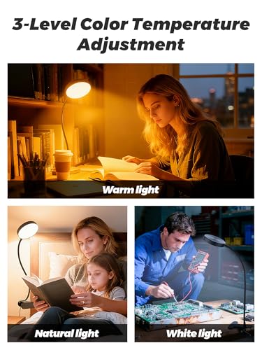 ReinHoo Black Clip-On RGB Desk Lamp with Clamp, 10 Colors & Brightness Levels