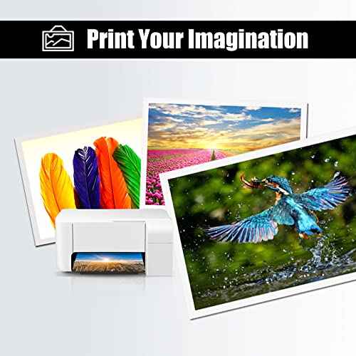 10 Packs T127 Remanufacture Ink Cartridge Replacement for Epson 127 T127 use for Workforce 545 845 645 WF-3540 WF-3520 WF-7010 WF-7510 WF-7520 NX530 NX625 (4 Black 2 Cyan 2 Magenta 2 Yellow)