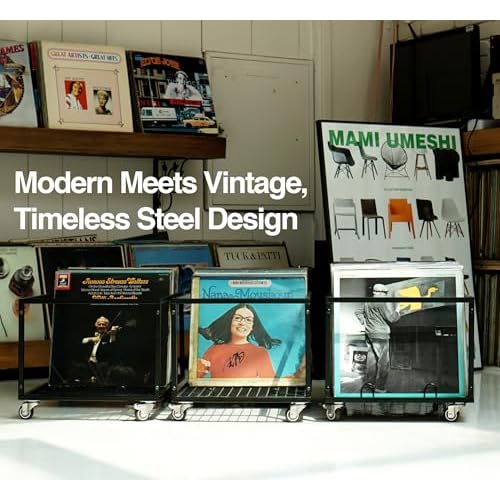 Mobile Vinyl Record Storage Rack with Welded Mesh Bottom ? Holds Up to 120 LPs, Sturdy Metal Frame, Modern Design, Portable LP Organizer, LP Holder