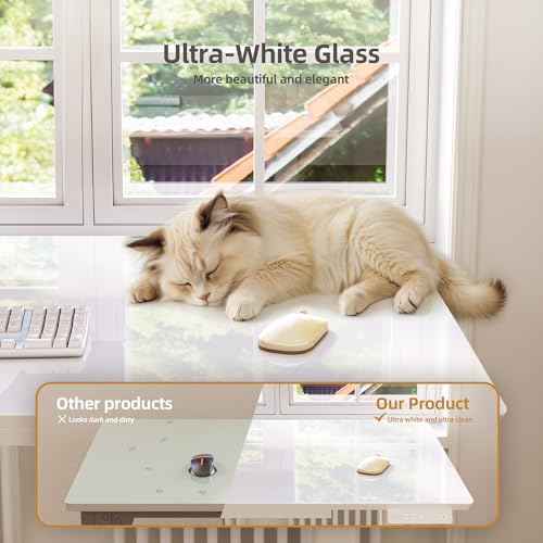 INNOVAR Glass Standing Desk with Drawers, 48¡¿24 Inch Adjustable Stand Up Desk Quick Install Home Office Computer Desk, White