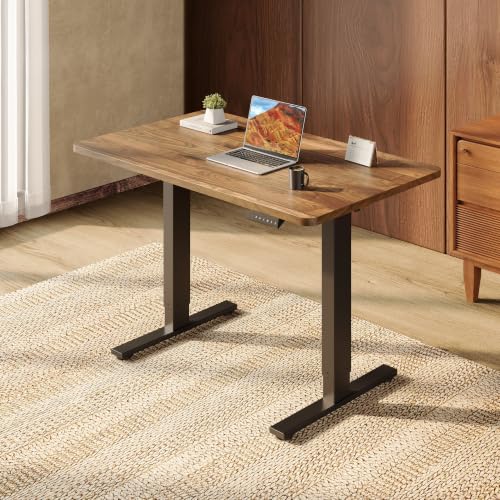 SANODESK 40x24 Inch Electric Height Adjustable Standing Desk - Sit Stand Workspace
