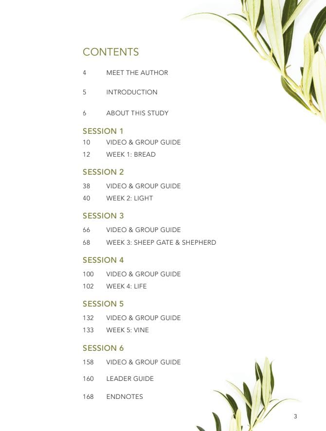 Finding I AM Bible Study for Women with Video Access by Lysa TerKeurst - Paperback