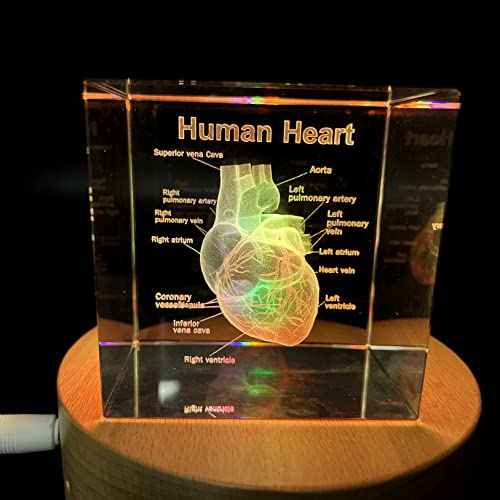 3D Human Heart with Labels Anatomical Model Paperweight(Laser Etched) in Crystal Glass Cube Science Gift (Included LED Base)