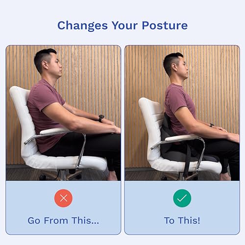 Lumbar Support Pillow for Office Chair | Adjustable, Doctor-Developed Memory Foam Back Seat Cushion | Ergonomic Pressure Relief & Enhanced Blood Flow (New & Improved)