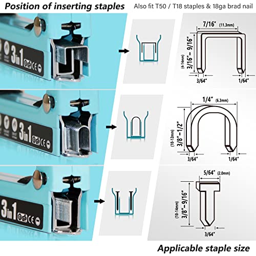Blue 3-in-1 Heavy Duty Staple Gun Kit with 3000 Staples, Remover & Adjustable Power