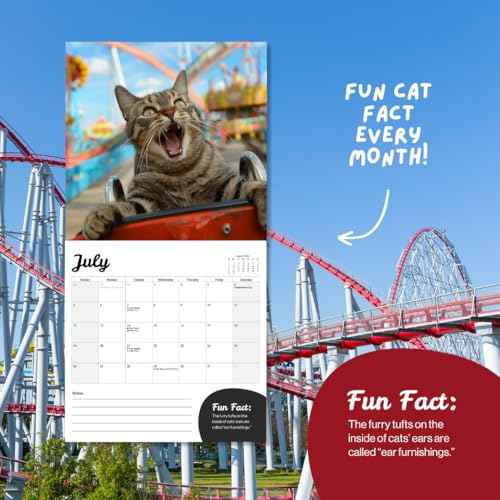 Cat Calendar 2026 - Large 12 Month 2026 Wall Calendar - Month to View Funny Cat Wall Planner Made by Fun Pets