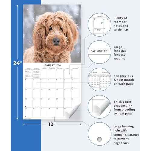 2026 Goldendoodles Monthly Wall Calendar | 12" x 24" | Dogs Calendar September 2025- December 2026